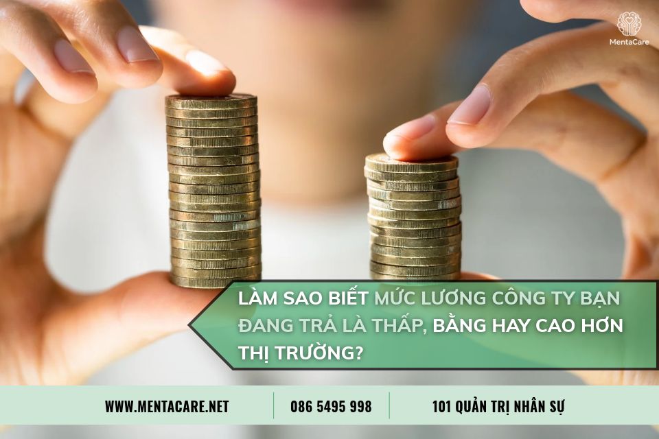 Làm Sao Biết Mức Lương Công Ty Bạn Đang Trả Là Thấp, Bằng Hay Cao Hơn Thị Trường? Cách Đọc Dữ Liệu Khảo Sát Lương Đúng Cách